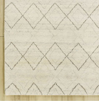 Rizzy Posh PSH002 White  Brown Area Rug Corner