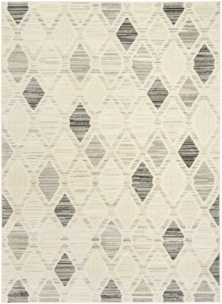 Nourison Serenity Home SRH08 Beige Grey Area Rug 5 X 8