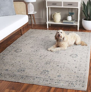 Safavieh Antique Patina ANP656 Ivory / Blue Area Rug