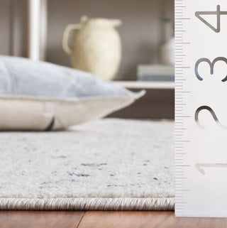 Safavieh Antique Patina ANP656 Ivory / Blue Area Rug