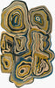 Surya Gypsy GYP-201 Area Rug Main Image