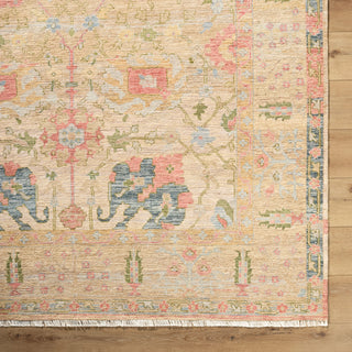 Surya Mashad MHS-2301 Area Rug Closeup