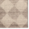 Jaipur Living Tesorino By House Sprucing Gioia TRN04 Taupe / Cream Area Rug Detail