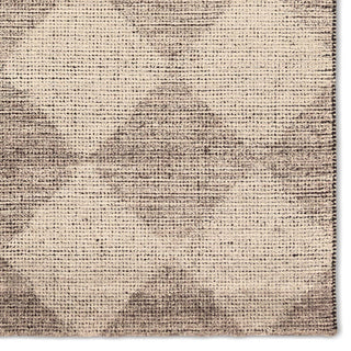 Jaipur Living Tesorino By House Sprucing Gioia TRN04 Taupe / Cream Area Rug Detail