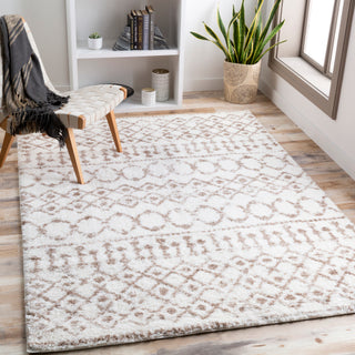 Surya Aliyah Shag ALH-2303 Area Rug Room Scene Featured 