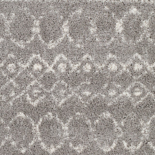 Surya Aliyah Shag ALH-2304 Area Rug Close Up 