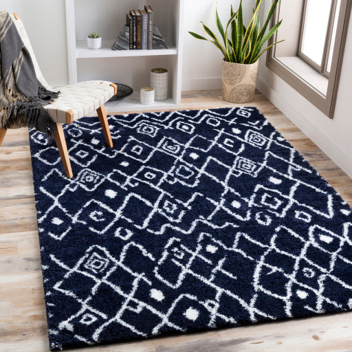Surya Aliyah Shag ALH-2317 Area Rug Room Scene Featured 