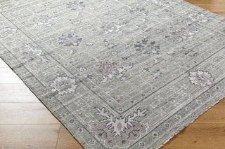 Surya Almeria ALM-2305 Area Rug