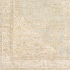 Surya Amasya AMY-2302 Area Rug Close Up 