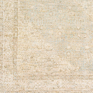 Surya Amasya AMY-2302 Area Rug Close Up 