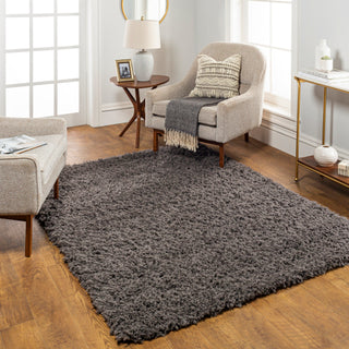 Surya Angora ANG-2300 Area Rug Room Scene 2