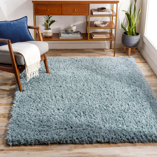 Surya Angora ANG-2303 Area Rug Room Scene Featured 