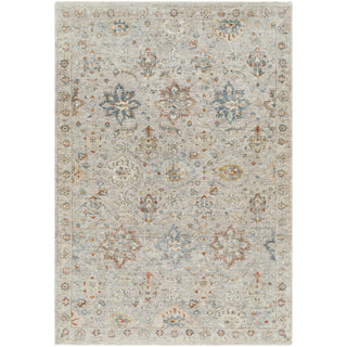 Surya Anatolia ANY-2305 Area Rug 6'x9'