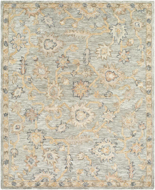 Livabliss Arnold AOD-2303 Area Rug 5 X 8