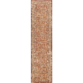 Surya Aspendos APS-2312 Area Rug 2'7"x10'