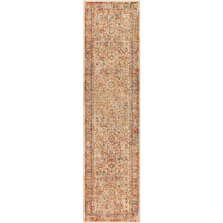 Surya Aspendos APS-2317 Area Rug 2'7"x10'