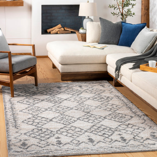 Living Room Rugs  Shop Area Rugs for Living Room – Boutique Rugs