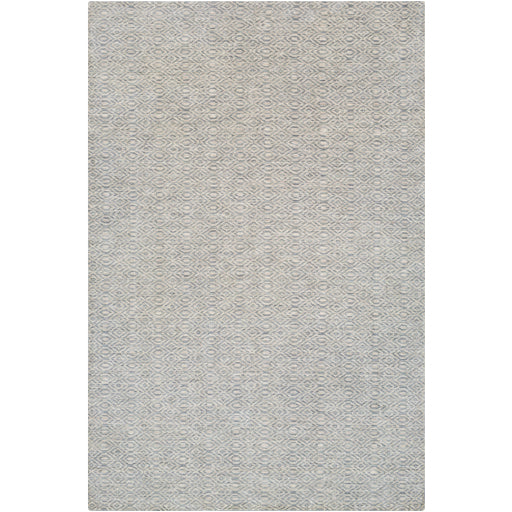 Surya Astara ASA-1004 Area Rug Main Image 6'x9'