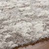 Surya Alta Shag ASG-2302 Area Rug by Artistic Weavers Edge 