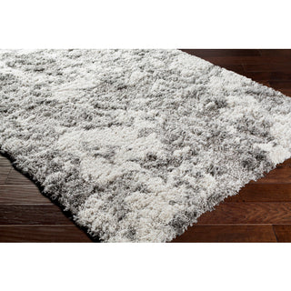 Surya Alta Shag ASG-2304 Area Rug by Artistic Weavers On Wood 