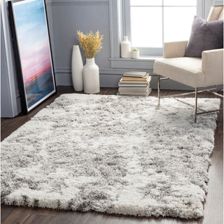 Surya Alta Shag ASG-2304 Area Rug by Artistic Weavers Room Scene 2