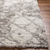 Surya Alta Shag ASG-2305 Area Rug by Artistic Weavers Corner 