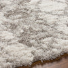 Surya Alta Shag ASG-2305 Area Rug by Artistic Weavers Edge  