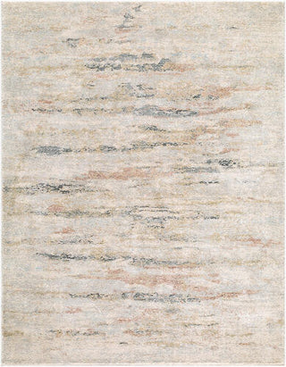 Livabliss Avellino AVL-2350 Area Rug 5 X 8