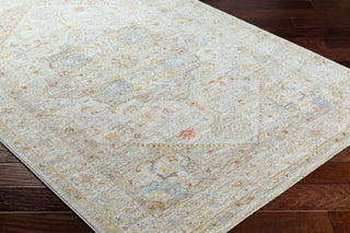 Livabliss Avant Garde AVT-2362 Taupe Area Rug Close Up 