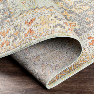 Surya Bodrum BDM-2334 Area Rug Rolled 