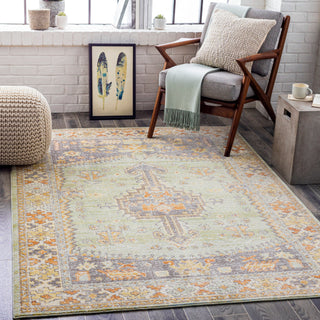 Surya Bodrum BDM-2334 Area Rug Room Scene Featured 