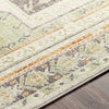 Surya Bodrum BDM-2337 Area Rug Edge 