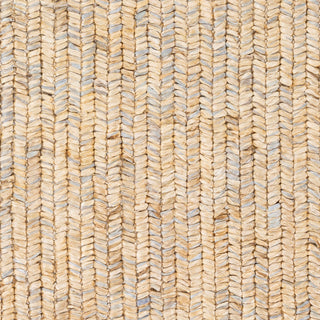 Surya Bryant BRA-2404 Area Rug Close Up 