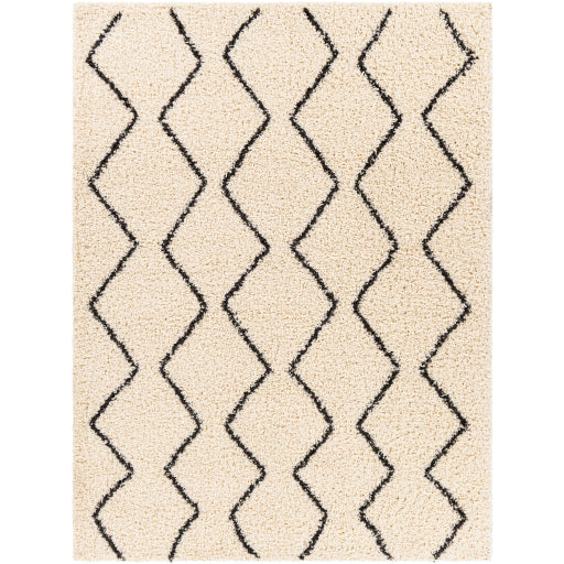 Surya Beni Shag BSH-2302 Area Rug Main Image 5'3"x7'