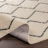 Surya Beni Shag BSH-2302 Area Rug Rolled 