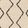 Surya Beni Shag BSH-2302 Area Rug Close Up 