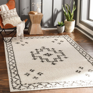 Surya Beni Shag BSH-2320 Area Rug Room Scene 3