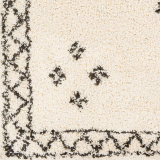 Surya Beni Shag BSH-2320 Area Rug Close Up 