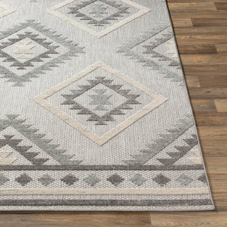 Surya Big Sur BSR-2313 Area Rug Corner 