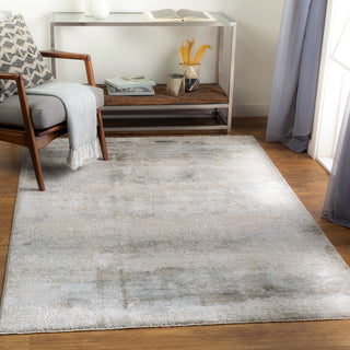 Livabliss Brunswick BWK-2305 Area Rug