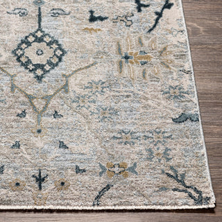 Livabliss Brunswick BWK-2316 Area Rug