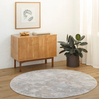 Surya Brunswick BWK-2324 Area Rug Room Scene 2