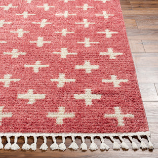 Surya Casablanca Shag CAG-2300 Area Rug