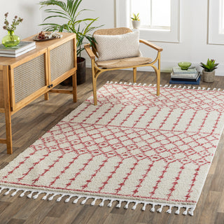 Surya Casablanca Shag CAG-2311 Area Rug Room Scene 2