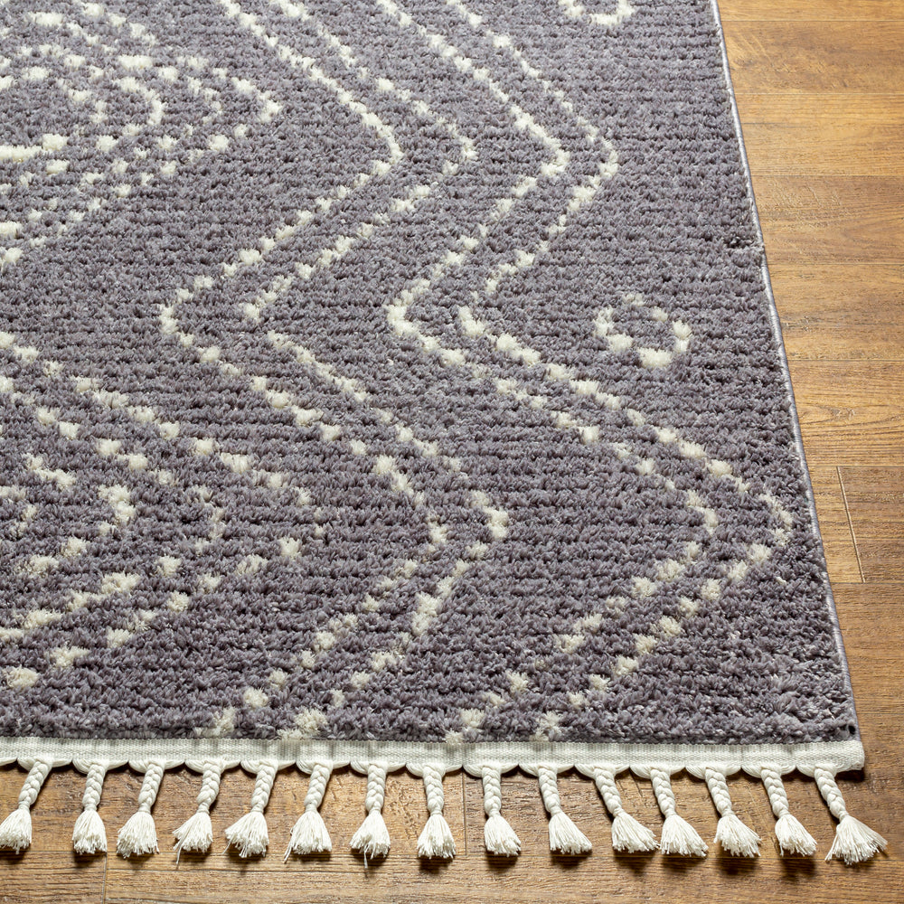 Surya Casablanca Shag CAG-2314 Area Rug Room Scene Featured 