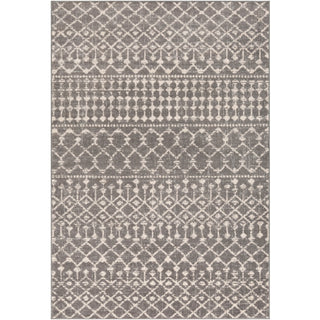 Surya Chester CHE-2321 Area Rug Main Image 5'3"x7'3"