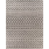 Surya Chester CHE-2321 Area Rug 7'10"x10'3"