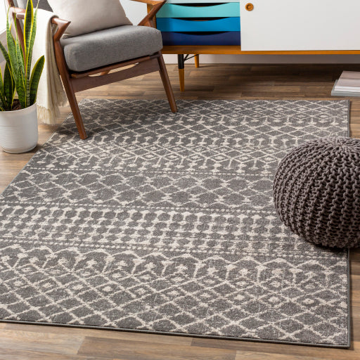 Surya Chester CHE-2321 Area Rug Room Scene Featured