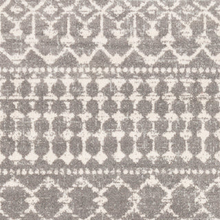 Surya Chester CHE-2321 Area Rug Close UP 