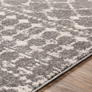 Surya Chester CHE-2321 Area Rug Edge 